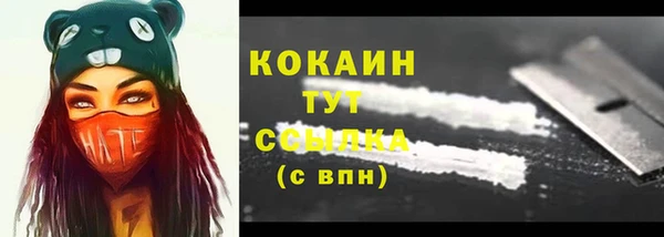 ПСИЛОЦИБИНОВЫЕ ГРИБЫ Белоозёрский
