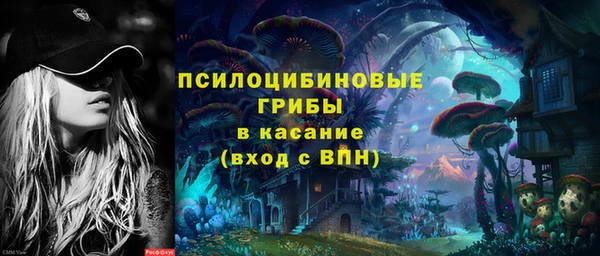 соль ск Белокуриха